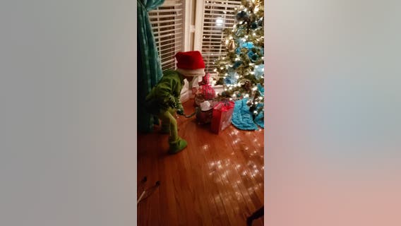 Georgia 'Grinch' steals Christmas along with our hearts