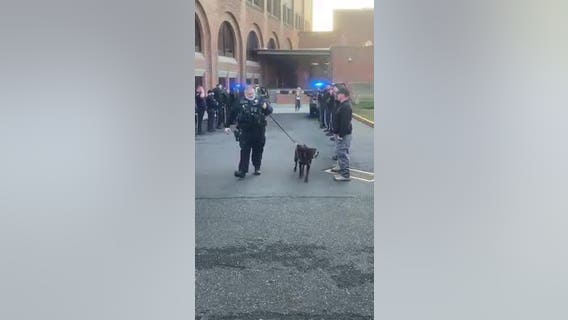 Burlington Co. Sheriff's Office honors K-9 with terminal cancer