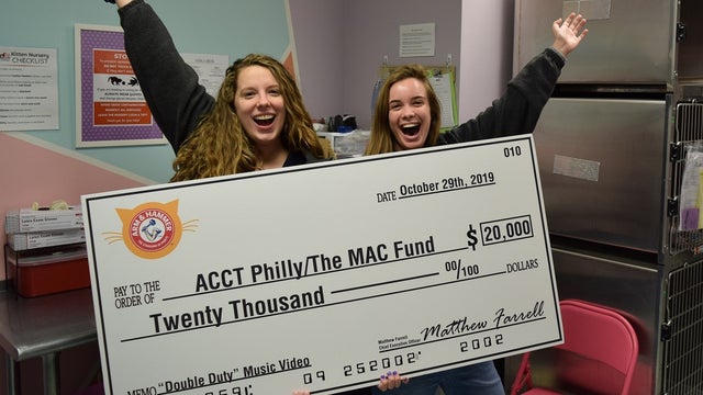 ACCT Philly launches new Trap-Neuter-Return program to help city's 'community cats'