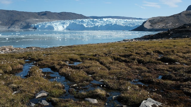 The Arctic may have crossed tipping point into destructive climate feedback loop, NOAA report says
