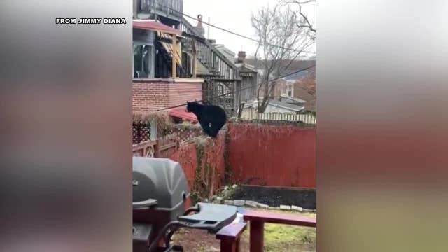 Alapocas Run State Park reopens as search for #Delabear continues