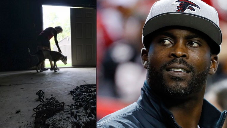 ATLANTA, GA - JANUARY 01: Former Atlanta Falcons player Michael Vick walks on the field prior to the game against the New Orleans Saints at the Georgia Dome on January 1, 2017 in Atlanta, Georgia.
