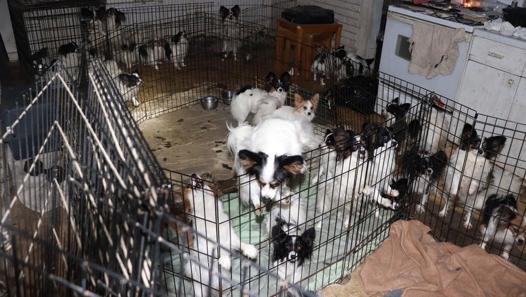 Idaho Humane Society rescue