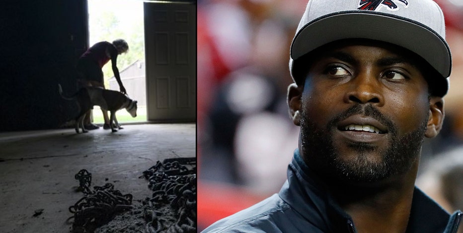 Petition · Boycott Michael Vick's clothing line V7 ·