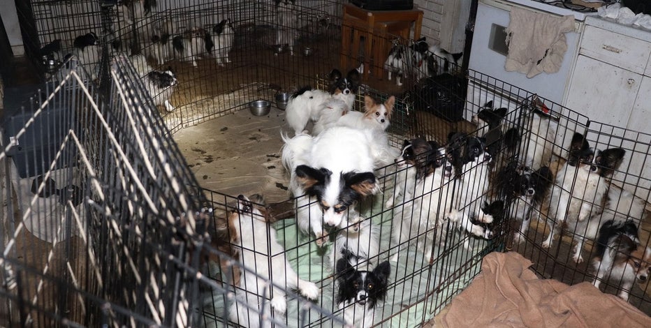 Humane Home Care Agency Philadelphia Pa