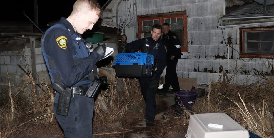 Idaho Woman Charged After 55 Dogs 3 Cats Rescued From Feces