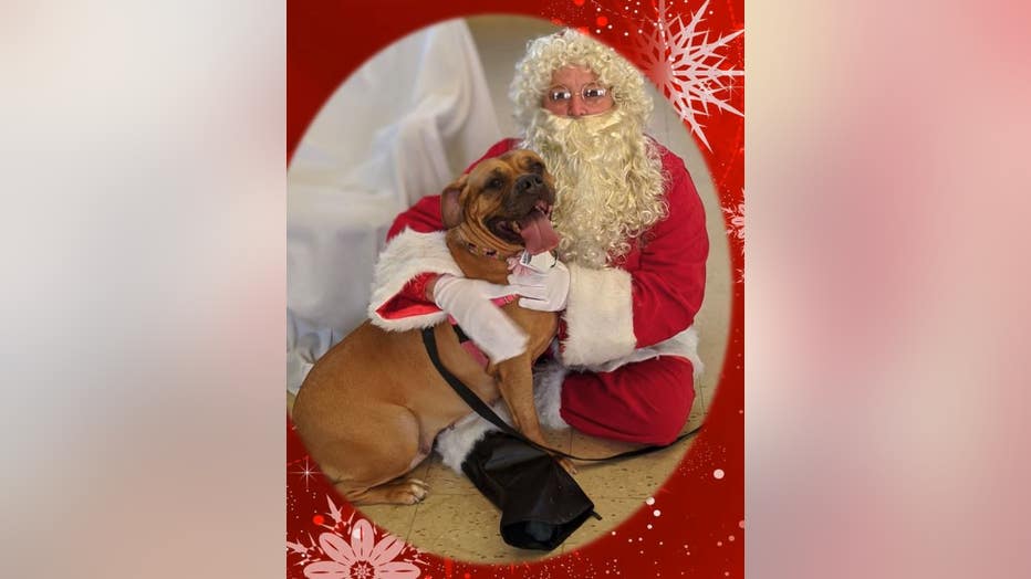 PSPCA pup Lucy asks Santa for a forever home