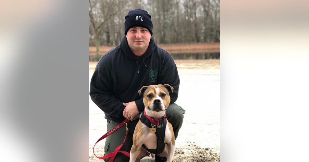 Rescued dog becomes first pit bull arson detection K9 in New Jersey ...