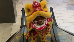 Chinese New Year celebrated in Center City Philadelphia