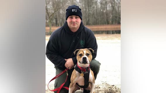 Rescued dog becomes first pit bull arson detection K9 in New Jersey