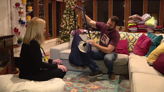 Local animal shelter volunteers sew items for animals affected by Australia bushfires