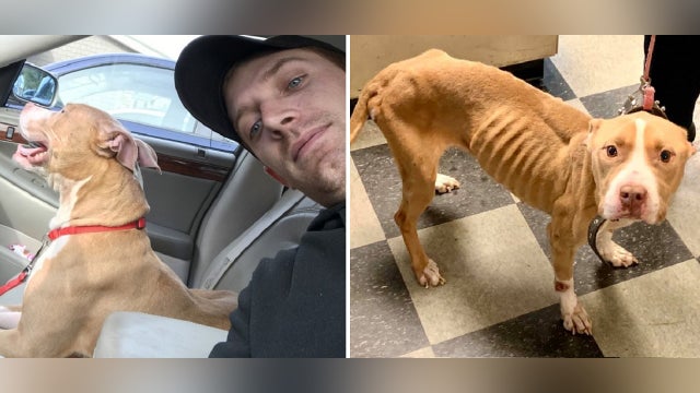 Police officer adopts dog he helped rescued from deplorable conditions in Delaware County