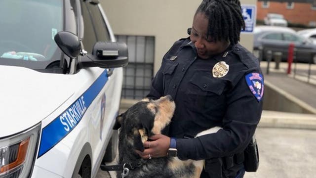 Mississippi police department using shelter to build relationships, get dogs adopted