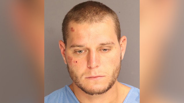 Passenger attacked flight attendant, injured 6 officers after flight from Dulles to Newark, police say