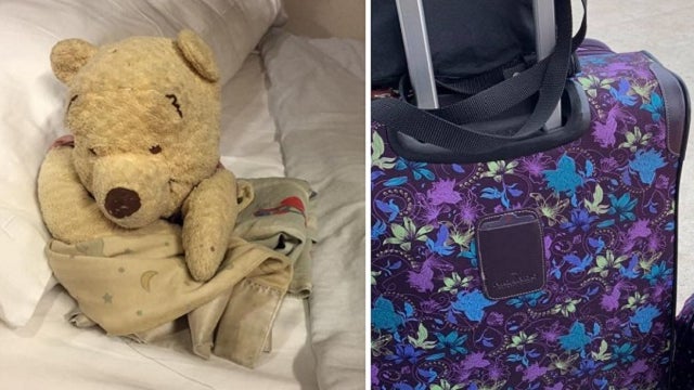 Woman pleads for help finding beloved Winnie the Pooh bear