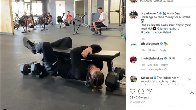 Phillies OF Bryce Harper participates in #KoalaChallenge for Australia wildfire relief