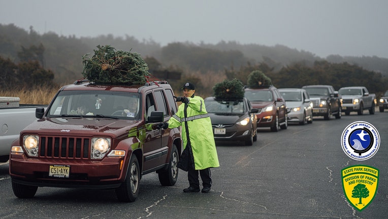 Cars lined up at Island Beach State Park in New Jersey to drop off Christmas trees that will be used to bolster the sand dunes.