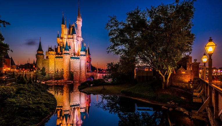 disney magic kingdom castle