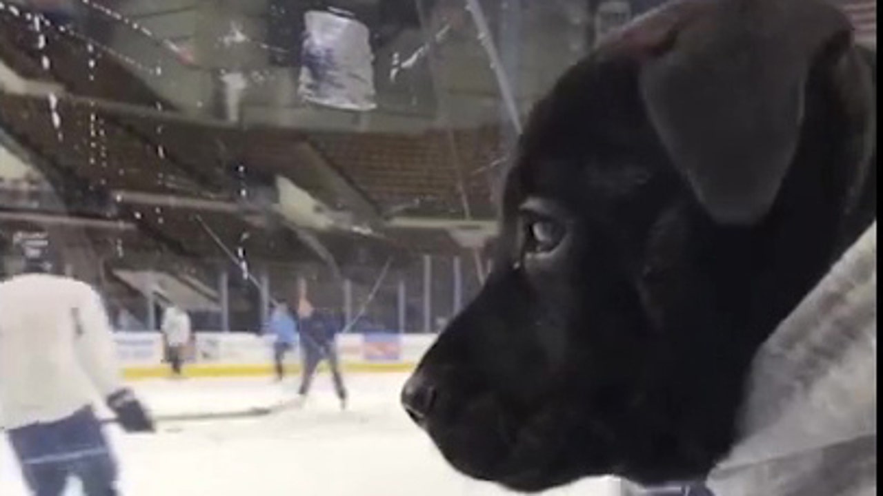 Milwaukee Admirals introduce hockey to 1st-time skaters