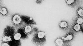 Officials: 2 University of Delaware students screened for possible coronavirus