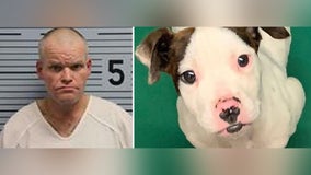 Man allegedly hanged puppy in tree because he didn’t have gun