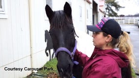 Pony at Wilmington equestrian park found with back legs bound