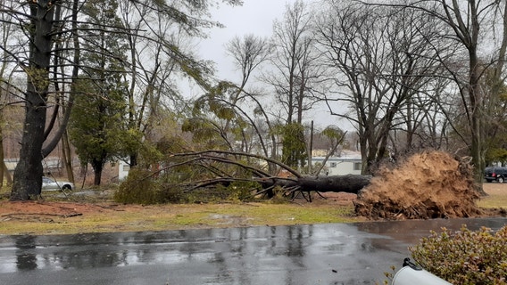 Friday morning storms leave damage across area; NWS to survey New Castle County