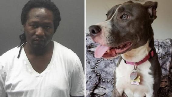 New Jersey man gets 1 year in case of dog left in cage with tide rising