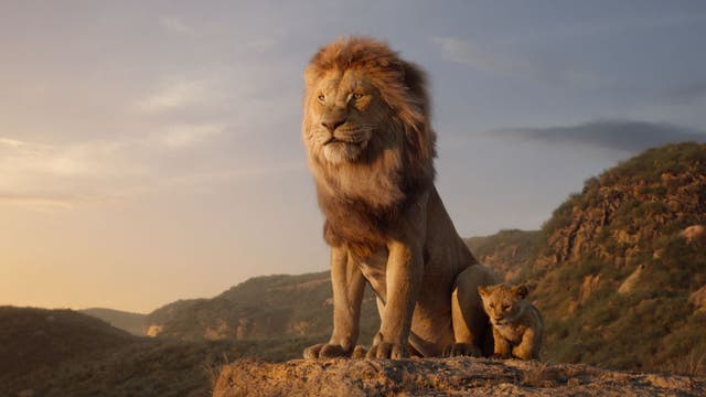Disney bills Berkeley school $250 for showing Lion King without proper permit