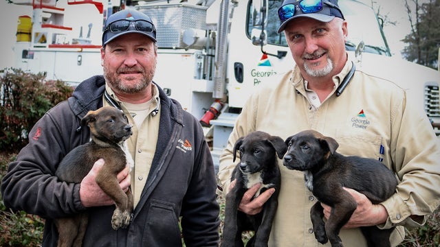 Georgia Power linemen rescue puppies 'thrown out like trash' inside dumpster