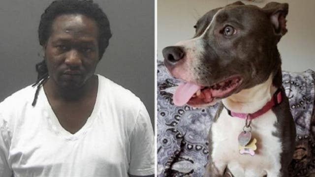 New Jersey man gets 1 year in case of dog left in cage with tide rising