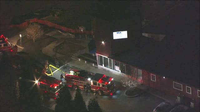 Animals relocated after fire at Newtown Square animal hospital