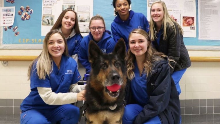 Retired K-9 Yukon now patrols the hallways of a Chester County high school.