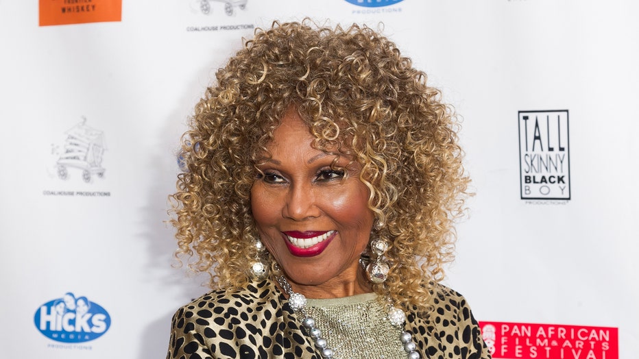 The Pan African Film & Arts Festival Closing Night Premiere