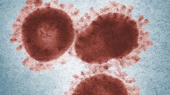 How COVID-19 has impacted Delaware Valley so far