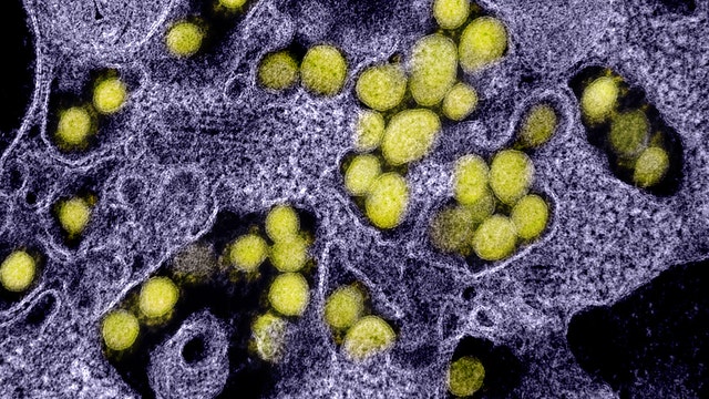 Camden County officials announce first death due to coronavirus