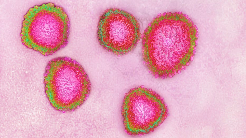 The human coronavirus is shown in a file image made from a transmission electron microscopy view.