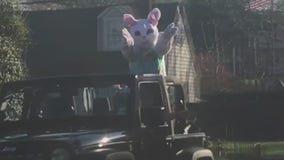 Easter Bunny spreads cheer throughout New Jersey amid COVID-19