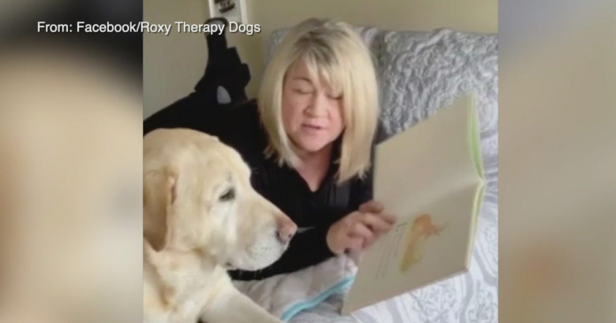 Organization trains therapy dogs to help kids during time of need | FOX ...