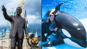 Orange County gives green light for Disney, SeaWorld to reopen; still needs governor's approval