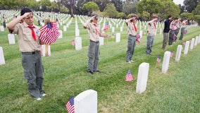 Boy Scouts banned from planting American flags on veterans' graves for Memorial Day due to coronavirus