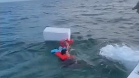 VIDEO: Men found clinging to cooler miles from Florida shore after boat sinks