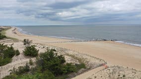 Delaware beach closed to surfing, swimming after possible shark bite