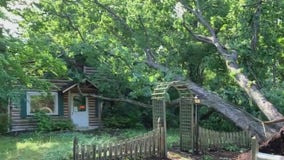 Cleanup continues after powerful storms impact region