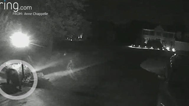 Two bear sightings reported in Delaware County