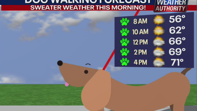 Weather Authority: Cool morning yields to highs in the 70s Monday