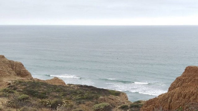 California officer rescues toddlers after father drove off cliff with girls inside vehicle: investigators