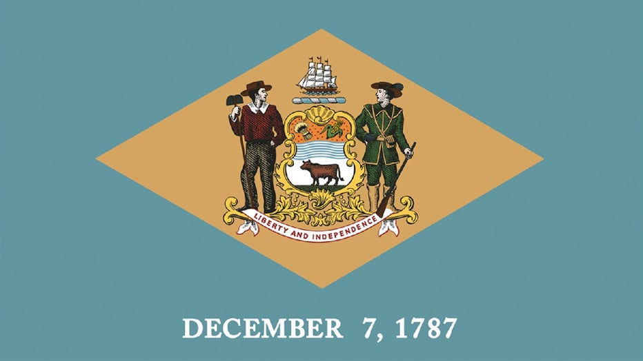 Delaware State Flag