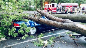 Storms wreak havoc across the Delaware Valley Monday