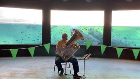 Tuba player performs for San Antonio Zoo hippos